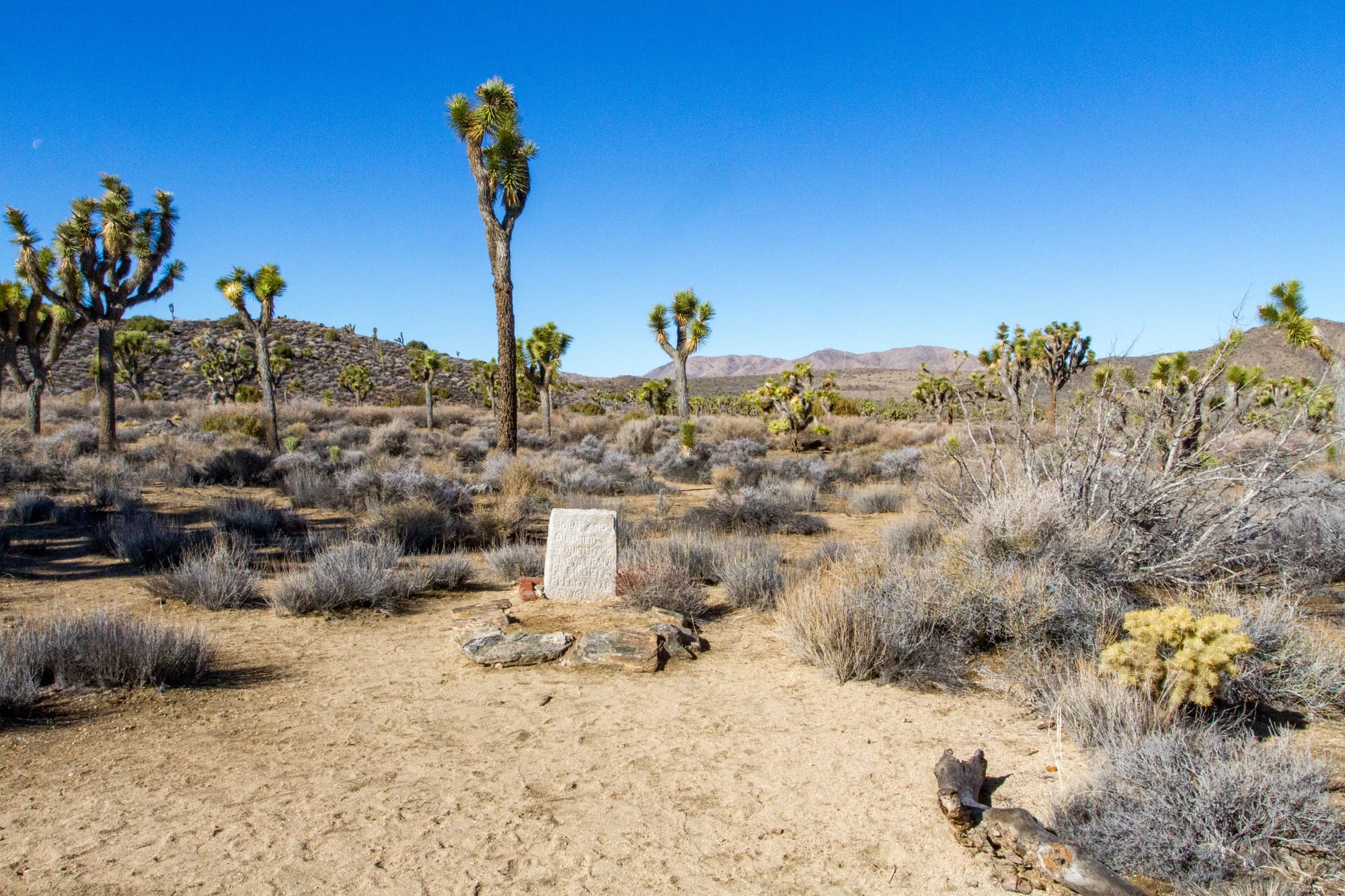 Lost Horse Mine