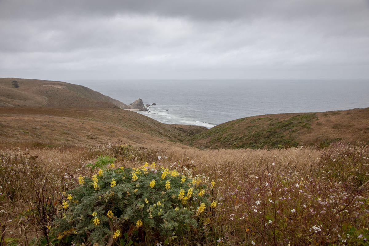 California's North Coast Ranges