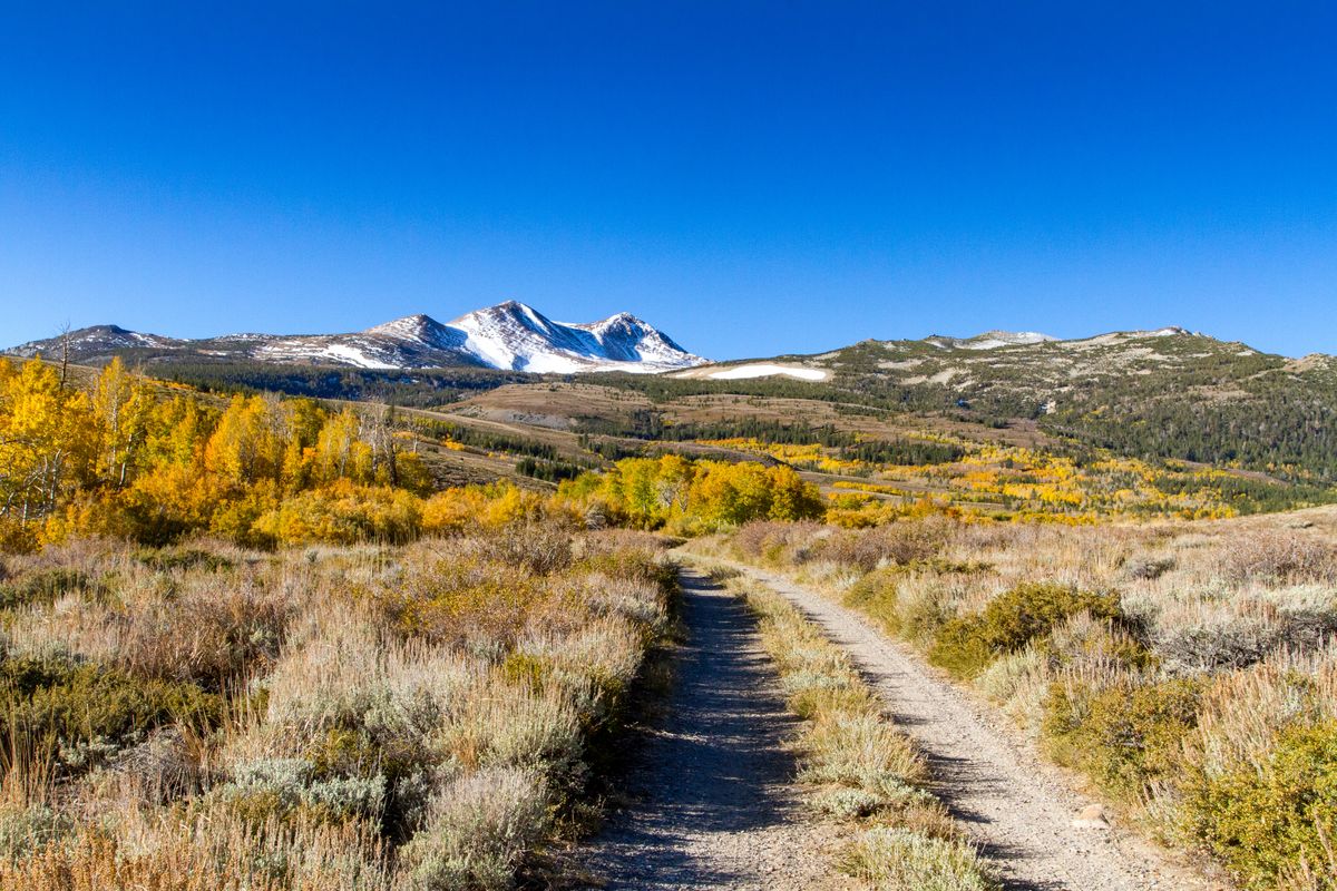 Yosemite and Central Sierra