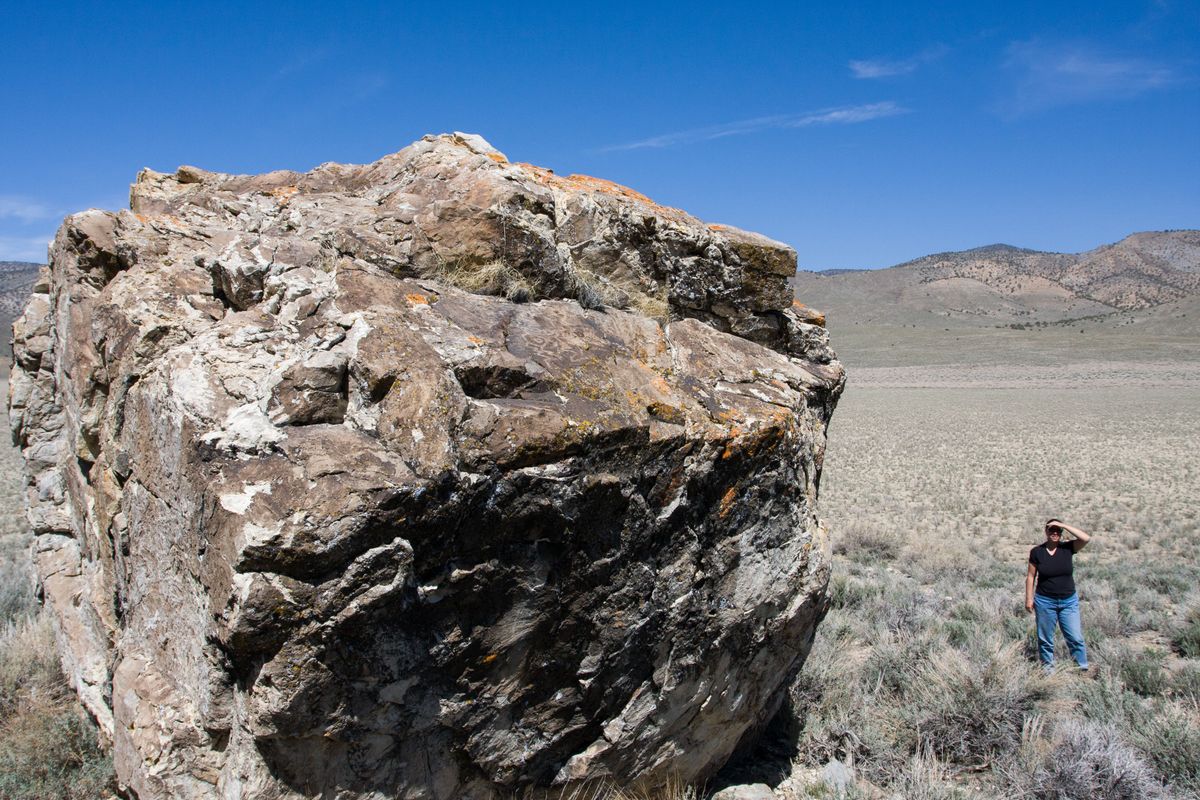 "Little Boulder Valley" Petroglyphs