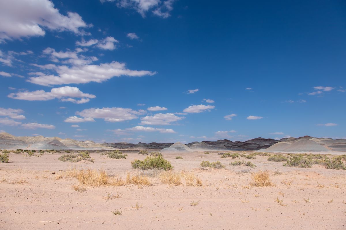 AZ Painted Desert