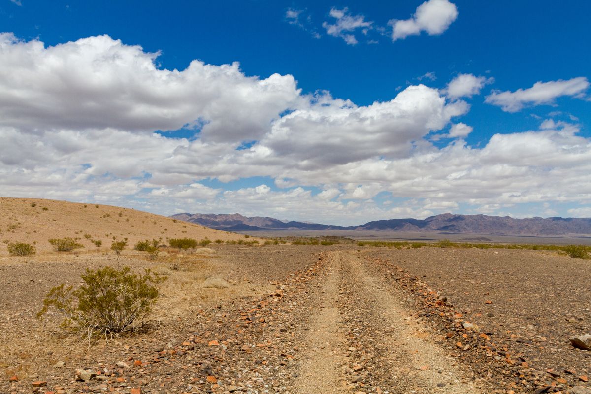 CA Western Mojave and Mojave Trails