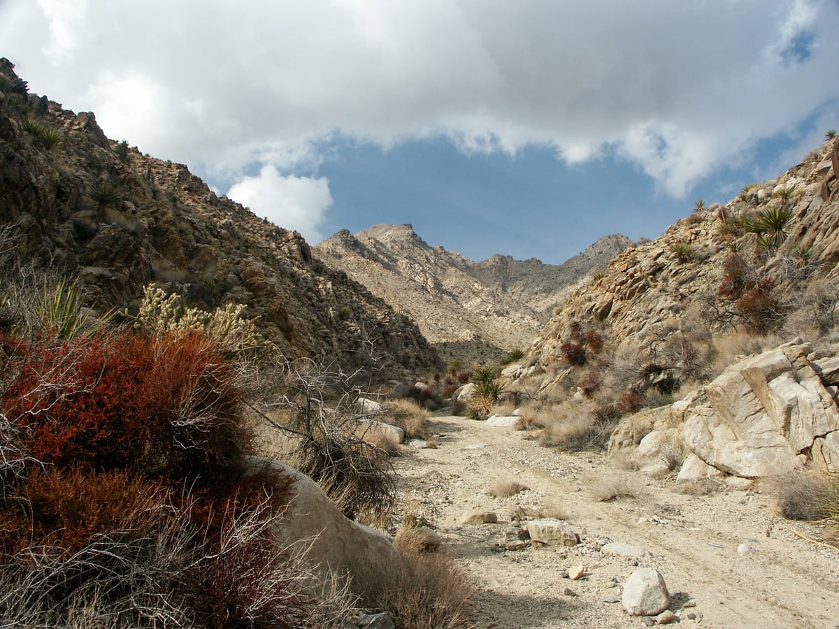 Mojave Trails