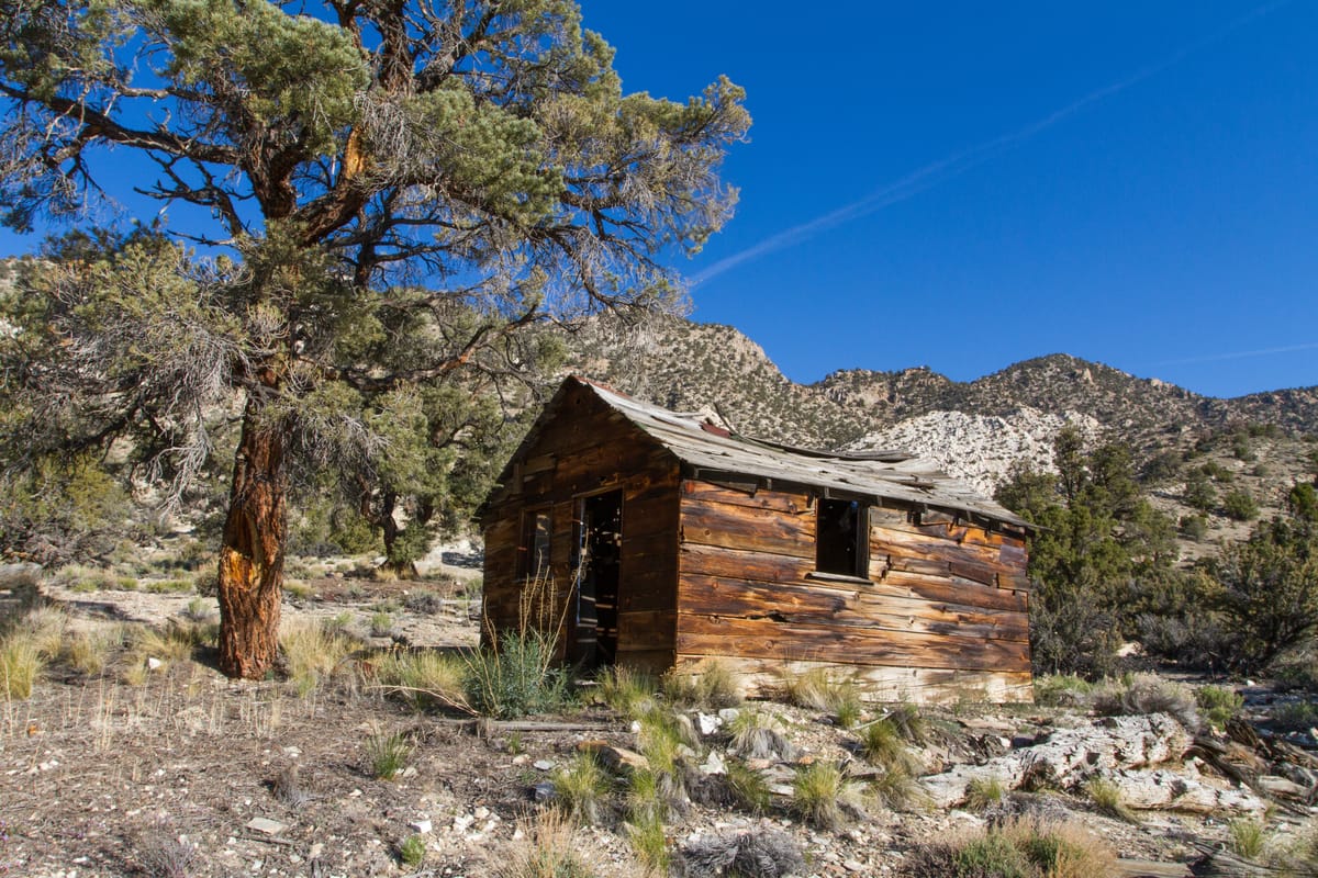 Inyo and White Mountains