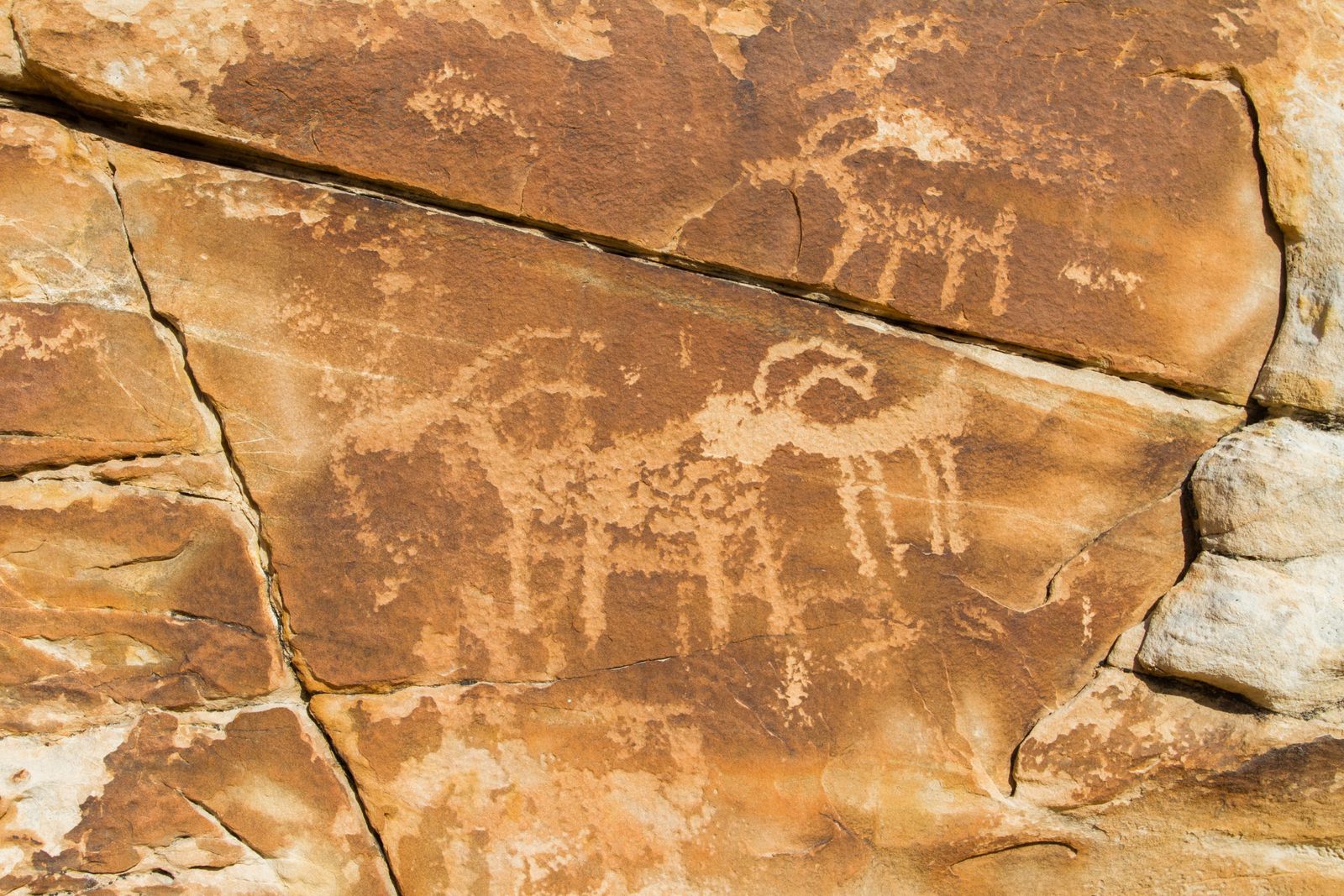 21 Goats Petroglyphs