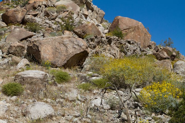 Southern Eagle Pictographs