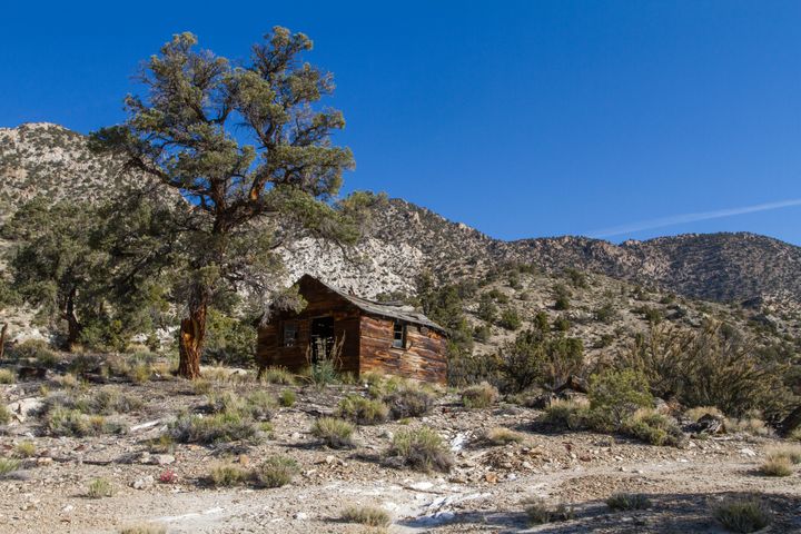 "Sandstone Eagle" Cabin