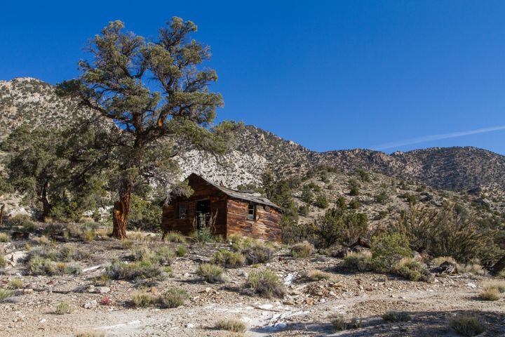 Sandstone Eagle Cabin