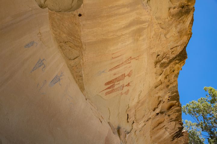 Carrot Men Pictographs