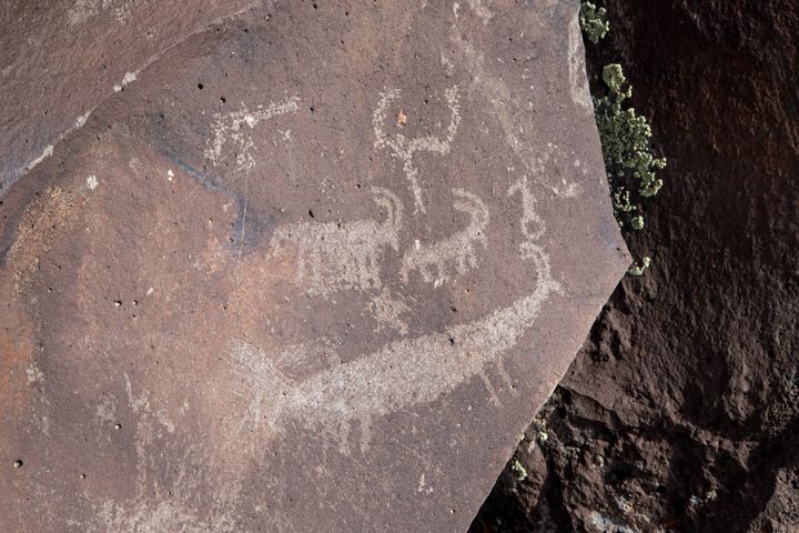 Nampaweap Petroglyphs