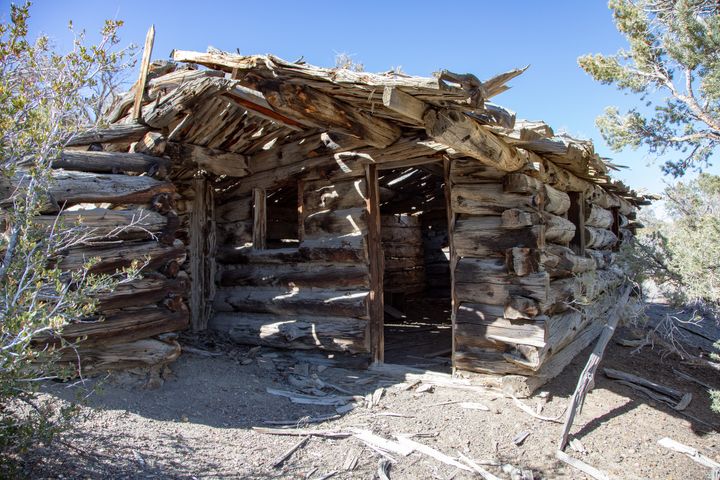 Lost White Log Cabin