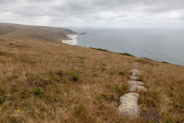 Ancient Tomales Wall