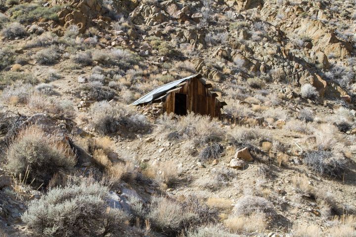 Wyler Spring Cabin