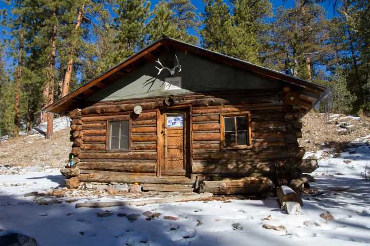 Hidden Forest Cabin