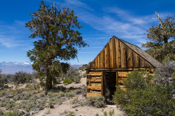 Silver Canyon Cabin