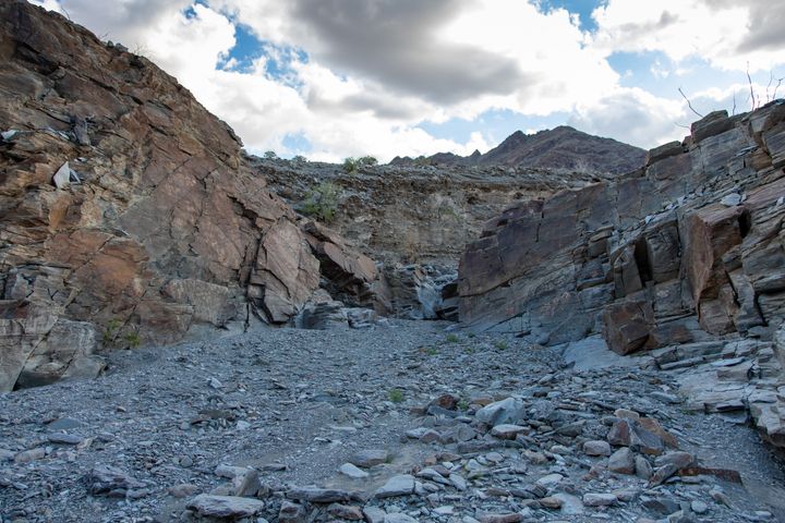 Palen Tank Petroglyphs