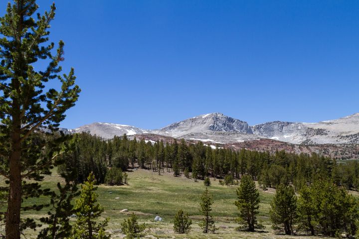 Golden Crown Mine