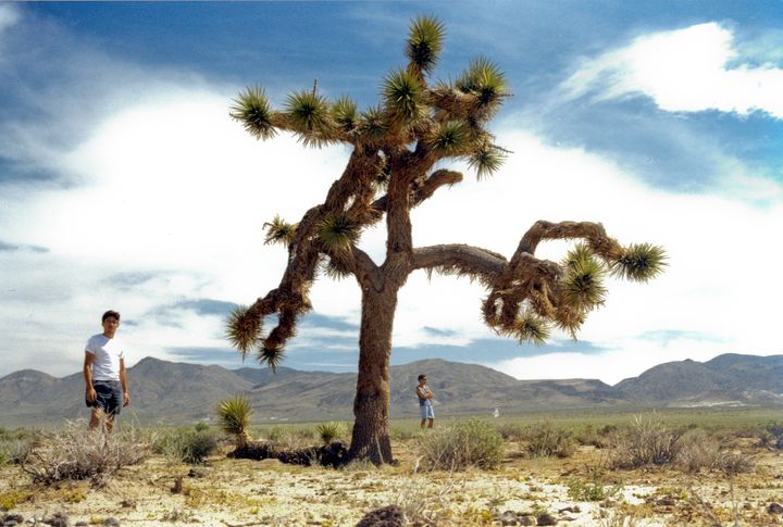 U2 Joshua Tree