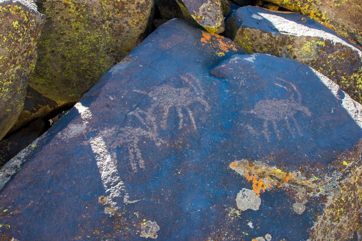 El Conejo Narrows Petroglyphs