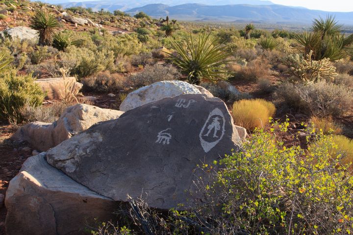 Lone Grapevine Petroglyphs