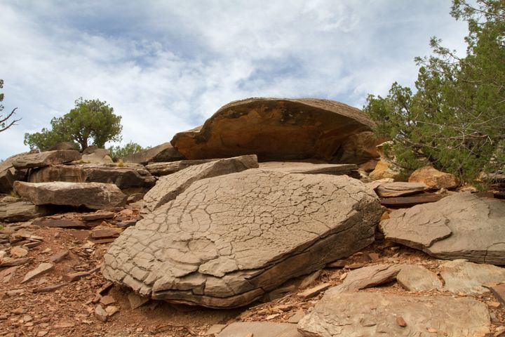 Clamshell Petroglyphs