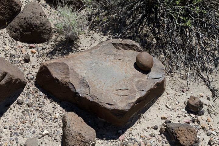 Cottonwood Ridge Petroglyphs