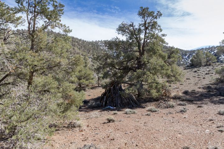 White Mountains Wickiup