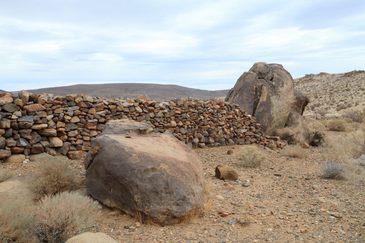 Willis Well Petroglyphs