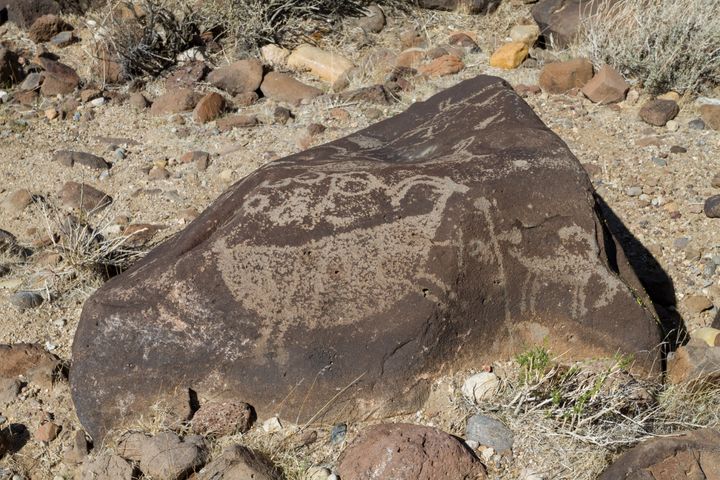 Terese Petroglyphs