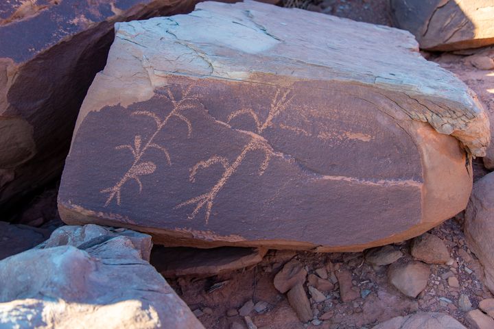 Inscription Point Petroglyphs and Grand Falls