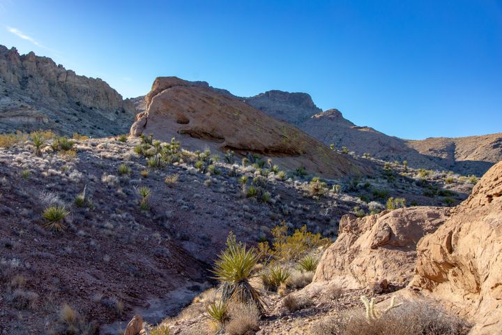 Super Cave Pictographs