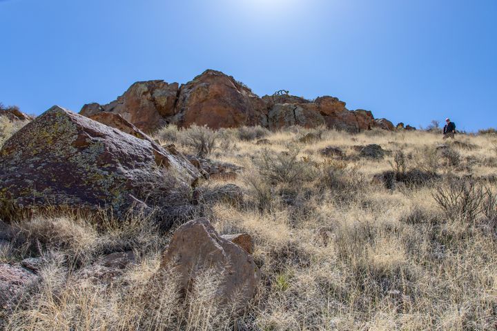 Barnwell Petroglyphs