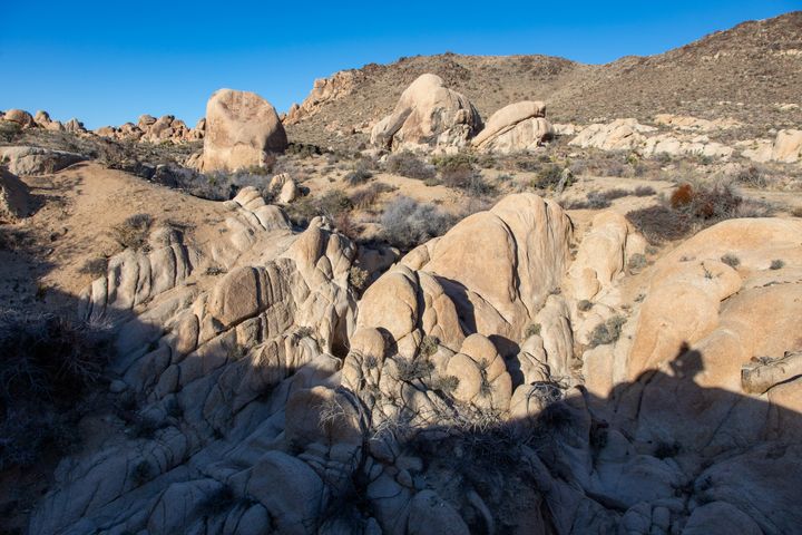 Maverick Boulder Petroglyphs