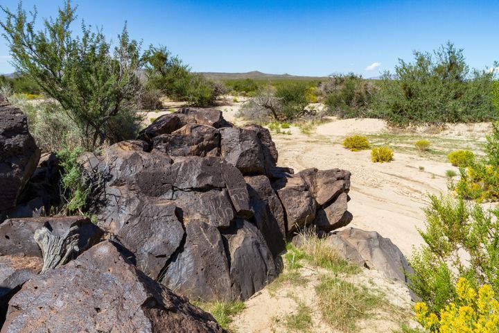 Sacramento Wash Petroglyphs