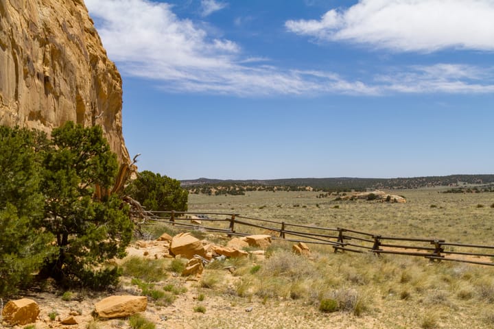 Lone Warrior Pictograph