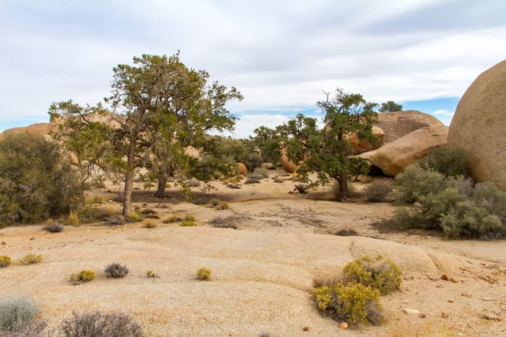 Pine City Overlook