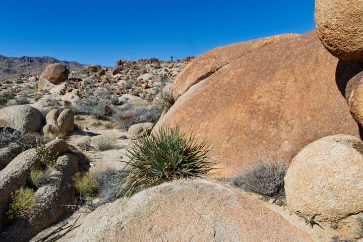 Cary's Castle North Petroglyphs