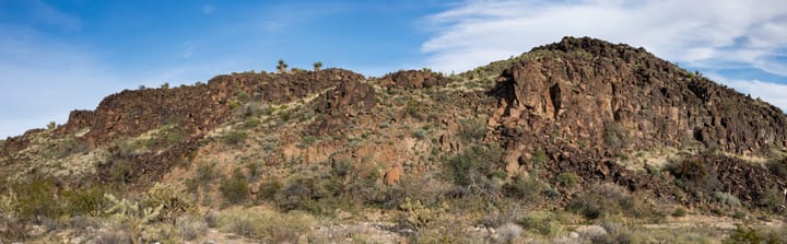 Grass Canyon Petroglyphs